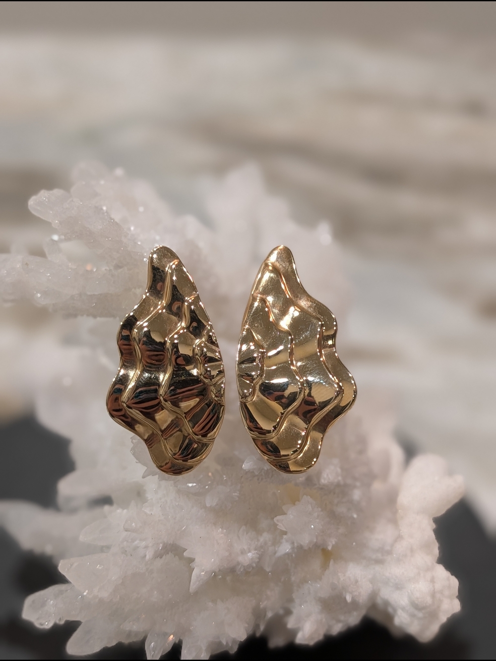 Vintage Avon Enchanted Wings Clip Earrings
